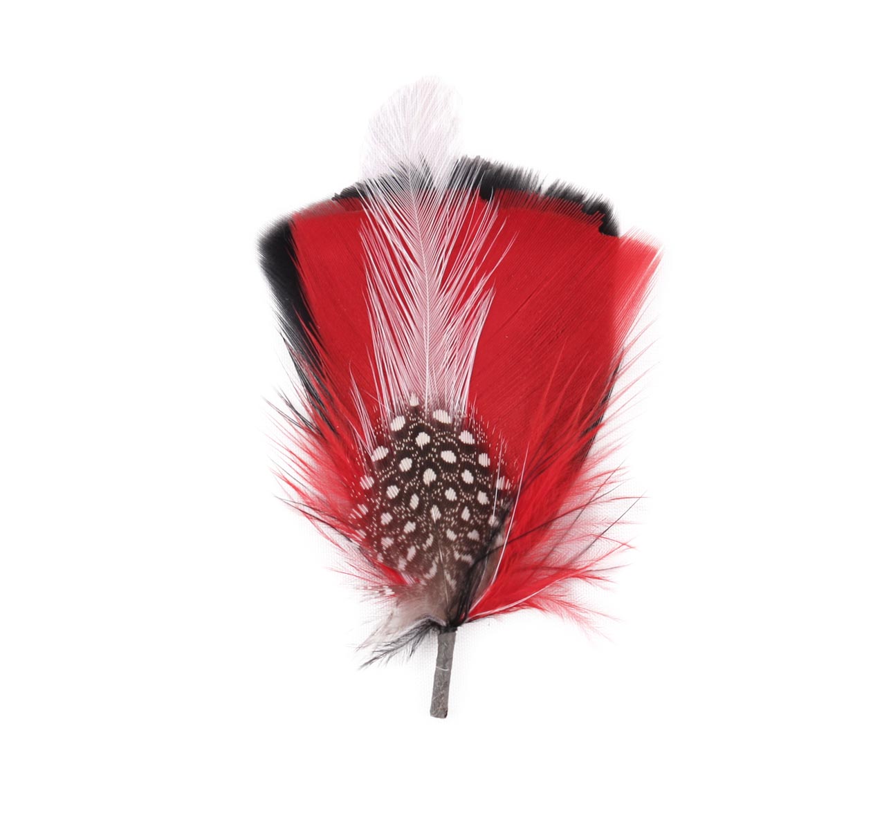 Plumes pour chapeau 