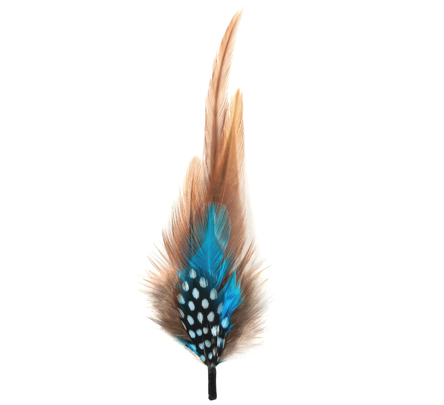 Plumes pour chapeau 