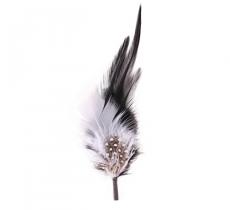Plumes pour chapeau