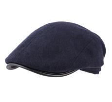Wegener Boxer