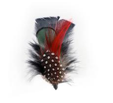 Plumes pour chapeau