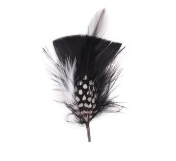  Plumes Pour Chapeau