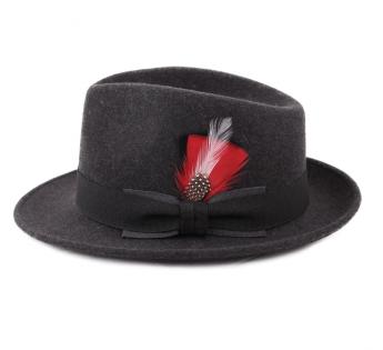  Plumes Pour Chapeau