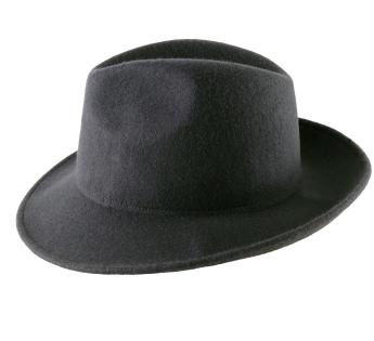  Mon Fedora