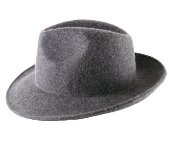  Mon Fedora