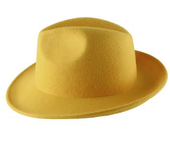  Mon Fedora