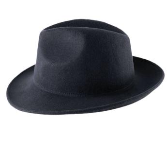  Mon Fedora