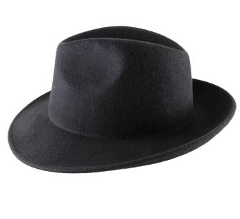  Mon Fedora