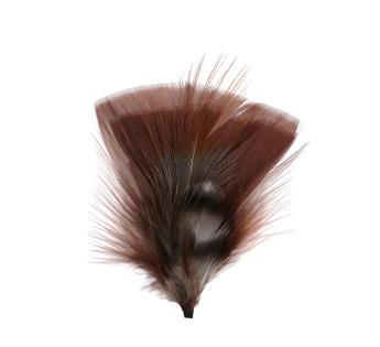  Plumes Pour Chapeau