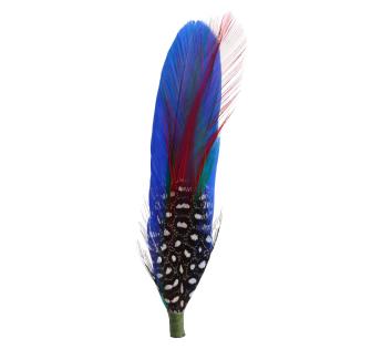  Plumes Pour Chapeau