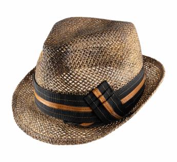 Trilby Geremia